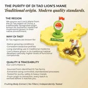 7 - Rooted Active Naturals Lion's Mane Organic Mushroom Extract, 60 g