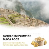 2 - Rooted Active Naturals Maca Root, 90 veggie capsule(s)