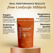 3 - Rooted Active Naturals Cordyceps Militaris Organic Mushroom Extract, 45 g