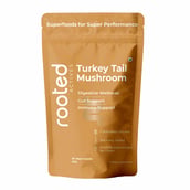 1 - Rooted Active Naturals Turkey Tail Organic Mushroom Extract, 60 g