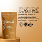 6 - Rooted Active Naturals Turkey Tail Organic Mushroom Extract, 60 g