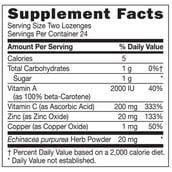 supplement - GNC Ultra Zinc Lozenges,  48 Piece(s)/Pack 