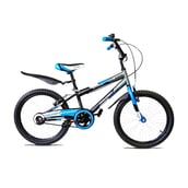 Raleigh Sports Kid 20 BMX Bicycle,  Black/Grey/Blue 