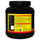 back - Bigg Nutrition Insane Bulk Mass and Weight Gainer,  2.2 lb  Chocolate 