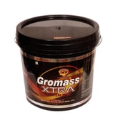 SNT Gromass Xtra Gainer,  8.8 lb  Chocolate 