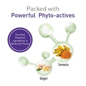 2 - Alchem Phytocid-GT,  10 capsules 