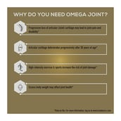 WheyDoWeNeed - TrueBasics Omega Joint with Collagen UC-II & Vitamin K2-7, 30 capsules