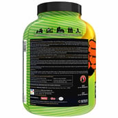 description - Avvatar Advanced Muscle Gainer, 6 lb Café Frappe