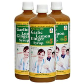 1 - SKSB GLG5 Garlic Lemon Ginger Syrup Pack of 3, 525 ml