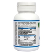 supplementinfo - Ricela Gamma Oryzanol, 60 capsules