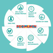 2 - Promunch Roasted Soya Snack,  Noodle Masala  300 g 