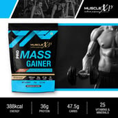 6 - MuscleXP Pro Mass Gainer with Whey Protein, 2.2 lb Double Chocolate Pack of 2