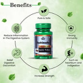 2 - Cipzer Yastimadhu, 60 capsules