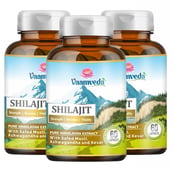 1 - Vaamveda Shilajit (Pack of 3),  60 capsules 