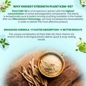 3 - Naturyz Plant KSM-66 with Ashwagandha(Apple Green Flavour), 20 tablet(s)