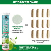 3 - Naturyz Plant KSM-66 with Ashwagandha(Apple Green Flavour), 45 tablet(s)