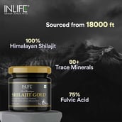11 - INLIFE Pure Himalayan Shilajit Gold, 20 g