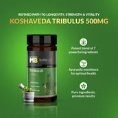 8 - Koshaveda Gokshura 500mg by MuscleBlaze, 60 tablet(s)