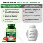 7 - Himalayan Organics Apple Cider Vinegar - 500 mg, 90 veggie capsule(s) Unflavoured