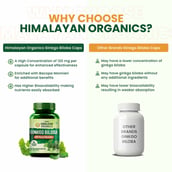 6 - Himalayan Organics Ginkgo Biloba 500mg,  60 capsules 
