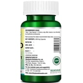7 - Morpheme Remedies Grape Seed Extract (500 mg),  60 veggie capsule(s) 