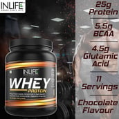 7 - INLIFE Whey Protein Powder, 0.88 lb Chocolate