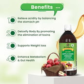 3 - Dr. Patkar's Apple Cider Vinegar Pack of 2, 0.5 L Garlic, Ginger, Lemon and Honey
