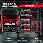 3 - Muscle Performance Anabolic Mass Gainer, 11 lb Irish Chocolate with Steel Shaker