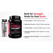 2 - Muscle Performance Anabolic Mass Gainer, 2.2 lb Rabri Kulfi with Steel Shaker