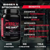 5 - Muscle Performance Anabolic Mass Gainer, 2.2 lb Creamy Vanilla with Steel Shaker