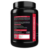 2 - Muscle Performance Anabolic Mass Gainer, 2.2 lb Irish Chocolate with Steel Shaker
