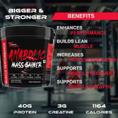 5 - Muscle Performance Anabolic Mass Gainer,  11 lb  Irish Chocolate 