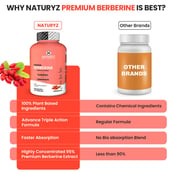 6 - Naturyz Premium Berberine + Cinnamon + Turmeric, 60 capsules