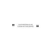 6 - AS-IT-IS Nutrition Whey Protein Concentrate 80%, 0.55 lb Unflavoured