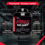 6 - Muscle Performance Anabolic Mass Gainer with Creatine Monohydrate 0.66 lbs & Steel Shaker Combo, 5.5 lb Rabri Kulfi
