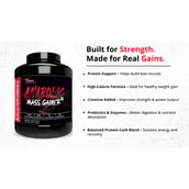 9 - Muscle Performance Anabolic Mass Gainer with Creatine Monohydrate 0.66 lbs & Gym Bag Combo, 5.5 lb Rabri Kulfi