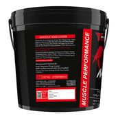 2 - Muscle Performance Anabolic Mass Gainer with Steel Shaker & Gym Bag Combo,  11 lb  Rabri Kulfi 