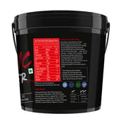 4 - Muscle Performance Anabolic Mass Gainer with Creatine Monohydrate 0.66 lbs, Steel Shaker & Gym Bag Combo, 11 lb Belgium Chocolate