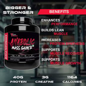 6 - Muscle Performance Anabolic Mass Gainer with Creatine Monohydrate 0.66 lbs, Steel Shaker & Gym Bag Combo, 5.5 lb Belgium Chocolate