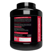 3 - Muscle Performance Anabolic Mass Gainer with Gym Bag Combo, 5.5 lb Belgium Chocolate