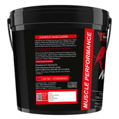 6 - Muscle Performance Anabolic Mass Gainer with Gym Bag Combo, 11 lb Belgium Chocolate