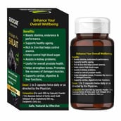 4 - Goodcare Pure Himalayan Shilajit 500 mg, 30 capsules