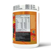 3 - Gibbon Nutrition Svelte Pre-Workout, 1.1 lb Pina Colada