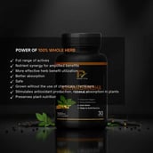 6 - PRIME VITA Ashwagandha Extract 1000mg, 60 capsules