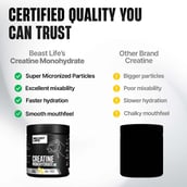 7 - BeastLife Creatine Monohydrate, Shikanji 0.70 lb