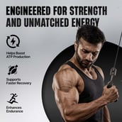 3 - BeastLife Creatine Monohydrate, Watermelon 1.1 lb