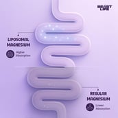 8 - BeastLife Liposomal Triple Magnesium+, Unflavoured 30 capsules