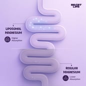 6 - BeastLife Liposomal Triple Magnesium+,  Unflavoured  60 capsules 