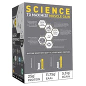 MuscleBlaze Biozyme Performance Whey Magical Mango 540g - 15 sachets x 36g