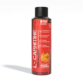 1 - Rawsome Pharm L-Carnitine Liquid 4000 mg,  450 ml  Orange 